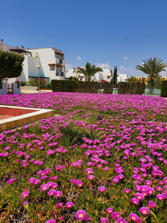 Apartamento Naturista En Primera Linea De Vera Playa!!! Las Bombardas ภายนอก รูปภาพ